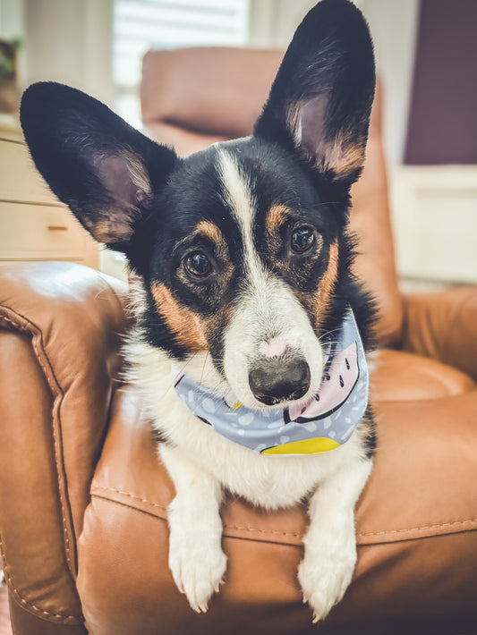 Doggie Bandanna