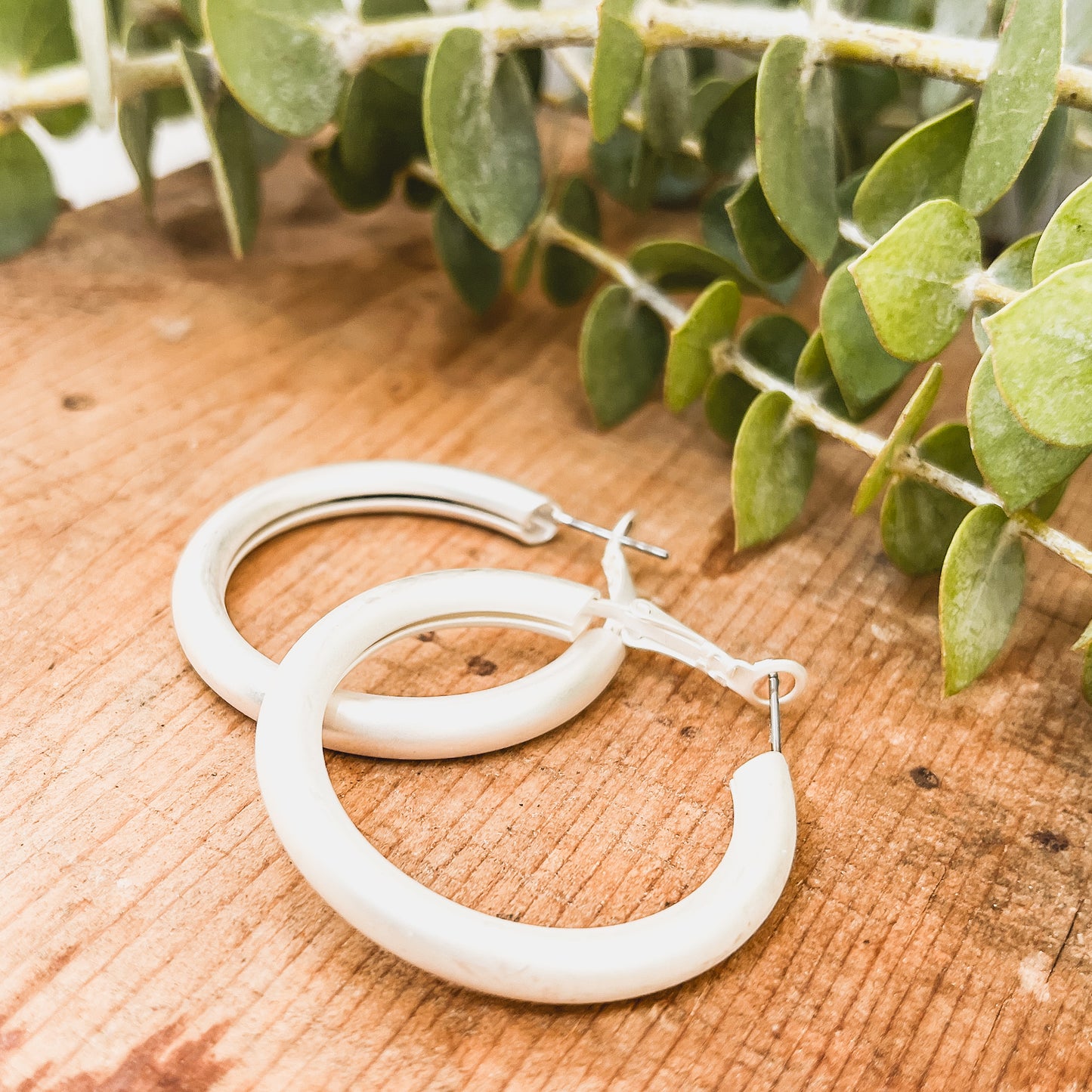 Beautiful Matte Gold or Silver Hoop Earrings