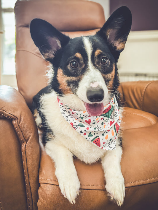 Doggie Bandanna