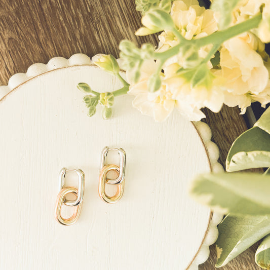 Beautiful Gold and Silver Link Earrings